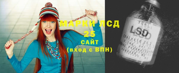 хмурый Абаза