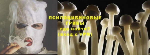 бошки Абинск