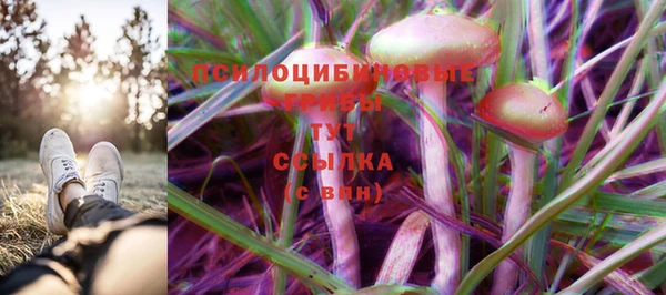 2c-b Алексин