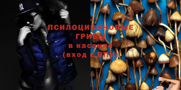 трава Алзамай