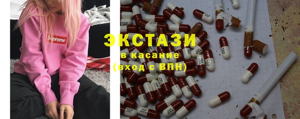 хмурый Абаза