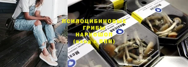бошки Абинск